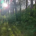 Zielone Zacisze & Z Sauna *