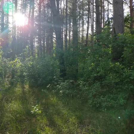 Zielone Zacisze & Z Sauna *